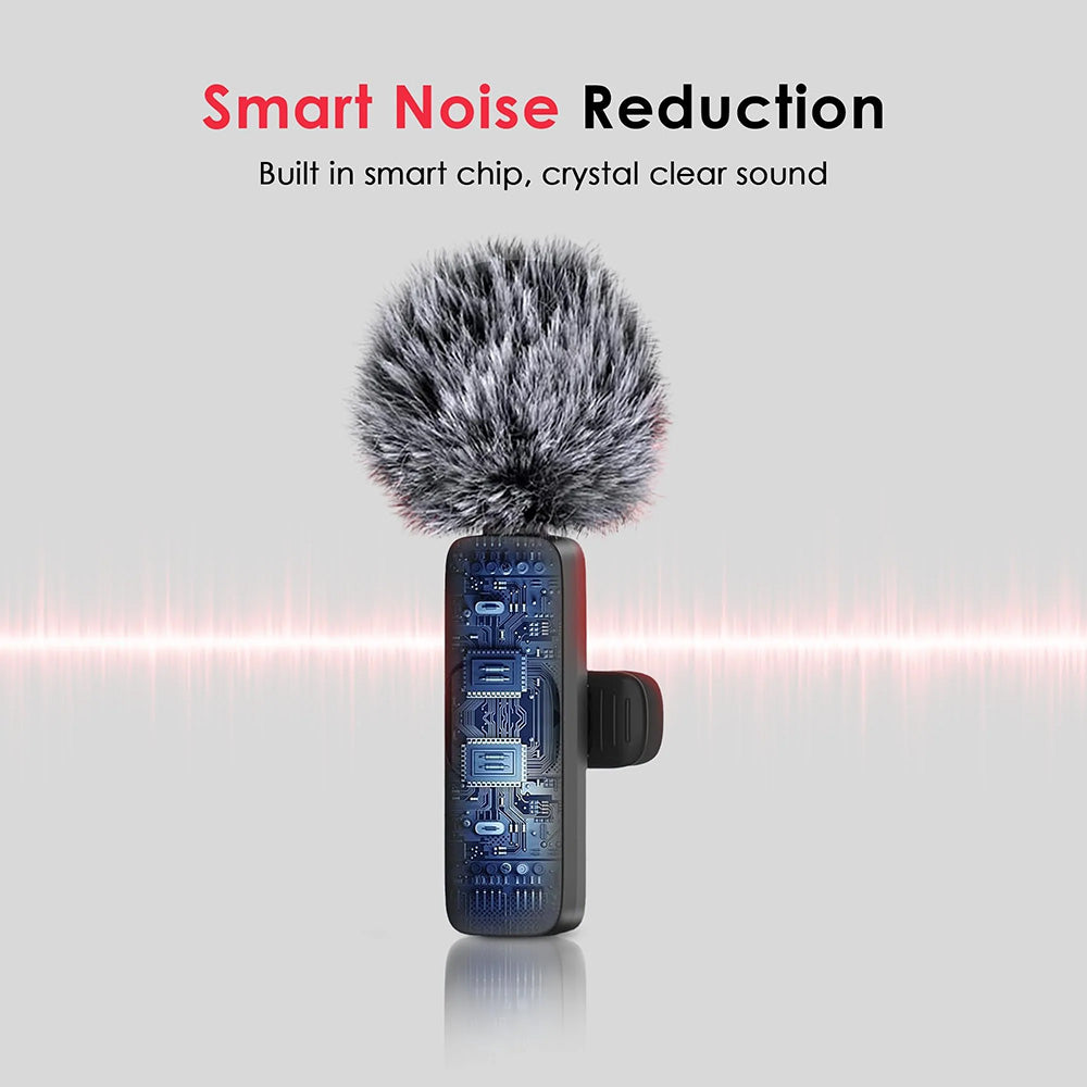 Wireless Microphone Kit