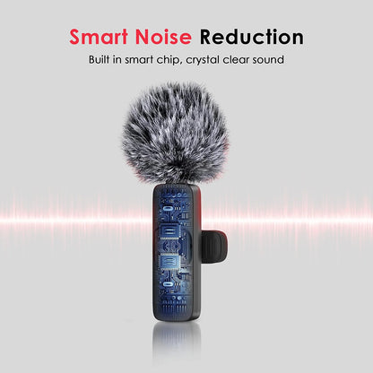 Wireless Microphone Kit